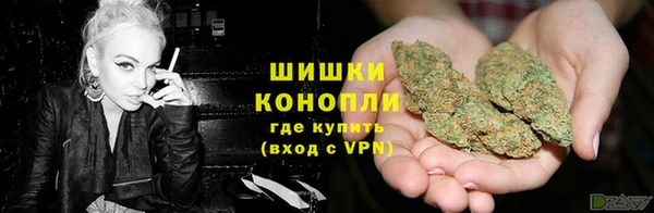 прущая мука Богородск