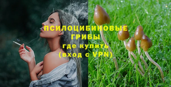 каннабис Богданович