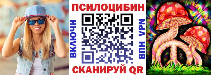Купить  Белово  Галлюциногенные грибы Psilocybe 